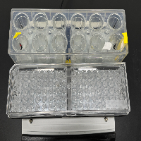 Thermo Scientific Compact Digital MicroPlate Shaker image 3